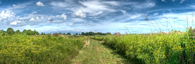 Panoramic Landscape of Bay Farm Duxbury MA