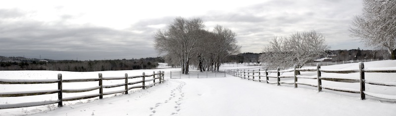 Panoramic Winter Landscape - Flowery Lane, Plymouth MA